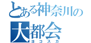 とある神奈川の大都会（ヨコスカ）