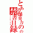 とある爆発力の源の禁書目録（インデックス）