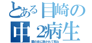 とある目崎の中２病生活（闇の炎に抱かれて死ね）