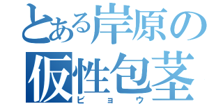 とある岸原の仮性包茎（ビョウ）