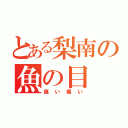 とある梨南の魚の目（痛い痛い）