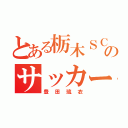 とある栃木ＳＣのサッカー（豊田琉衣）