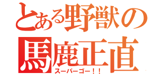 とある野獣の馬鹿正直（スーパーゴー！！）