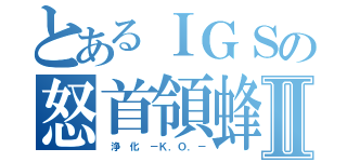 とあるＩＧＳの怒首領蜂Ⅱ（　浄 化 －Ｋ．Ｏ．－）