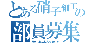 とある硝子細工部の部員募集（ガラス細工に入らないか）