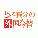 とある養分の外国為替証拠金取引（ＦＸ）