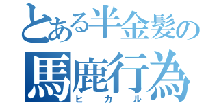 とある半金髪の馬鹿行為（ヒカル）