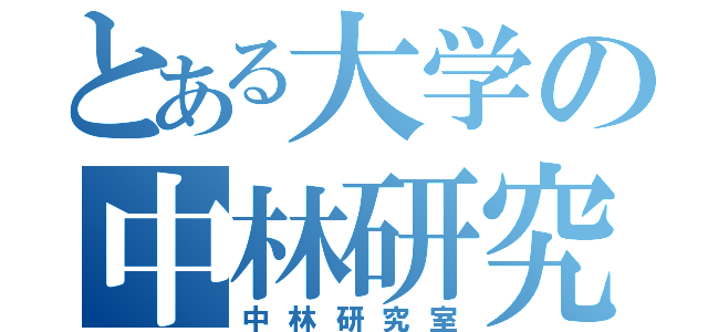 とある大学の中林研究室（中林研究室）