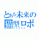 とある未来の猫型ロボ（ドラえもん）