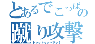 とあるでこっぱちの蹴り攻撃（トゥットゥッヘアッ！）