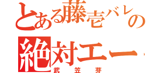 とある藤壱バレの絶対エース（武笠芽）