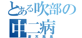 とある吹部の中二病（蒼天鳳凰）