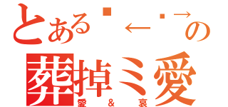 とある㊚←㊛→の葬掉ミ愛（愛＆哀）