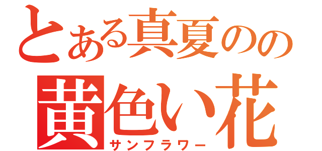 とある真夏のの黄色い花（サンフラワー）