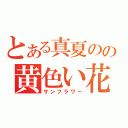 とある真夏のの黄色い花（サンフラワー）