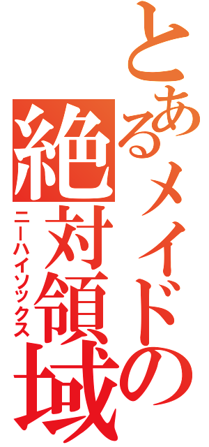 とあるメイドの絶対領域（ニーハイソックス）