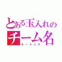 とある玉入れのチーム名（ネーミング）