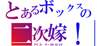 とあるボックスの二次嫁！（アリス・マーガトロイド）