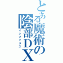 とある魔術の陰部ＤＸ（インブックス）