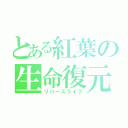 とある紅葉の生命復元（リバースライフ）