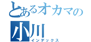 とあるオカマの小川（インデックス）