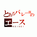 とあるバレー部のエース（ＫＥＩＳＥＩ）