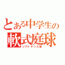 とある中学生の軟式庭球部（ソフトテニス部）