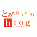 とあるｓｉｎａのｂｌｏｇ（ｐｉｃｔｕｒｅ）