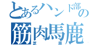 とあるハンド部の筋肉馬鹿（芝原）