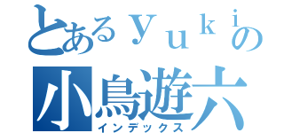 とあるｙｕｋｉｎａの小鳥遊六花（インデックス）