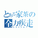 とある家茶の全力疾走（トライアル）