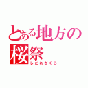 とある地方の桜祭（しだれざくら）