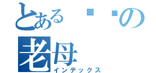 とある屌你の老母（インデックス）