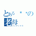 とある屌你の老母（インデックス）