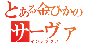 とある金ぴかのサーヴァント（インデックス）