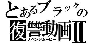 とあるブラックの復讐動画Ⅱ（リベンジムービー）