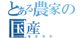 とある農家の国産（キクラゲ）