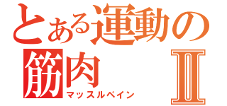 とある運動の筋肉Ⅱ（マッスルペイン）