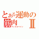 とある運動の筋肉Ⅱ（マッスルペイン）