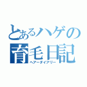 とあるハゲの育毛日記（ヘアーダイアリー）