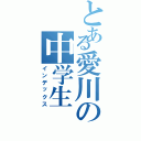 とある愛川の中学生（インデックス）