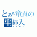 とある童貞の生挿入（ナマハメ）