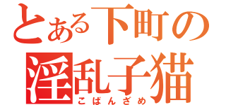 とある下町の淫乱子猫（こばんざめ）