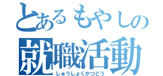 とあるもやしの就職活動（しゅうしょくかつどう）