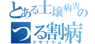 とある土壌病害のつる割病菌（フザリウム）