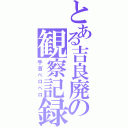 とある吉良廃の観察記録（手首ペロペロ）