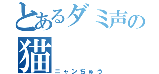 とあるダミ声の猫（ニャンちゅう）