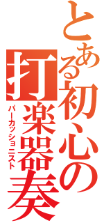 とある初心の打楽器奏者（パーカッショニスト）