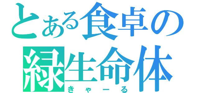 とある食卓の緑生命体（きゃーる）