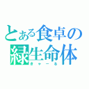 とある食卓の緑生命体（きゃーる）